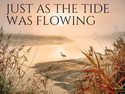 Just as the Tide was Flowing